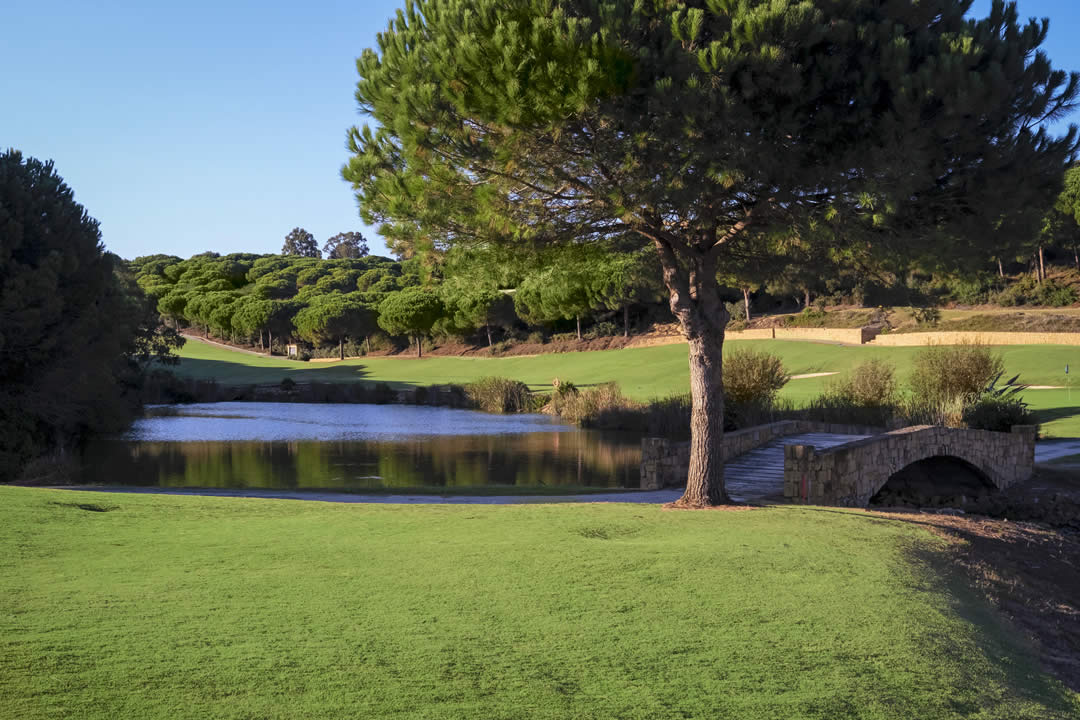 almenara golf club